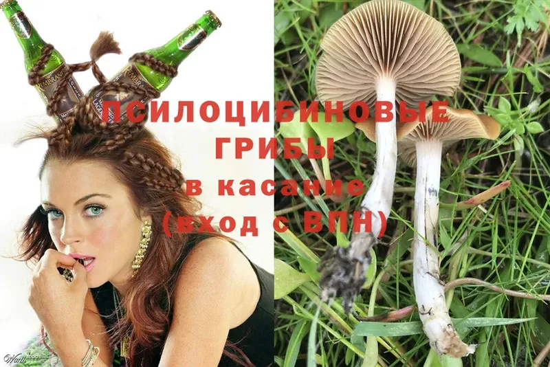 МЕГА вход  Зима  Галлюциногенные грибы MAGIC MUSHROOMS  купить  цена 